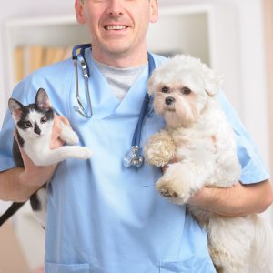 Veterinary kit
